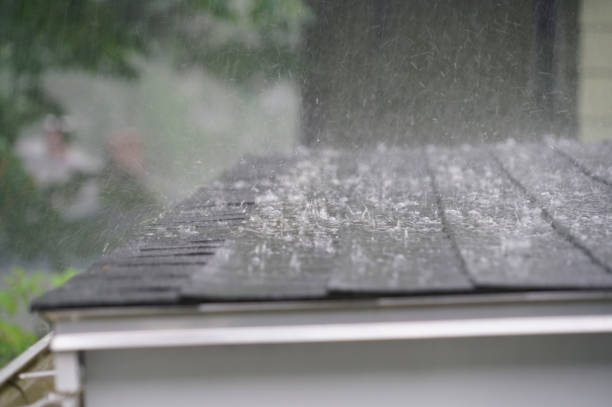 Best Roof Moss and Algae Removal  in Falmouth, VA